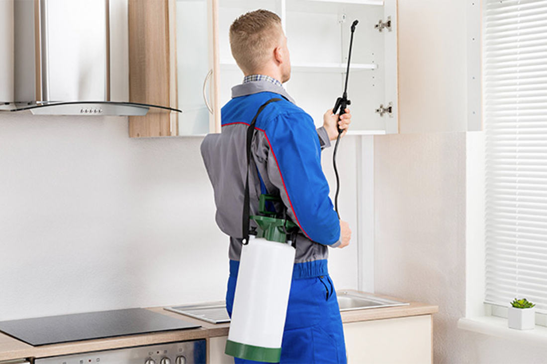 Pest control grand oaks ca