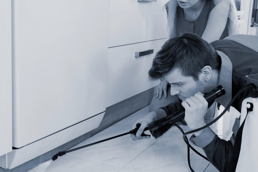 pest exterminator spraying under cupboards
